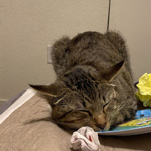 Meet your Posher, Brian